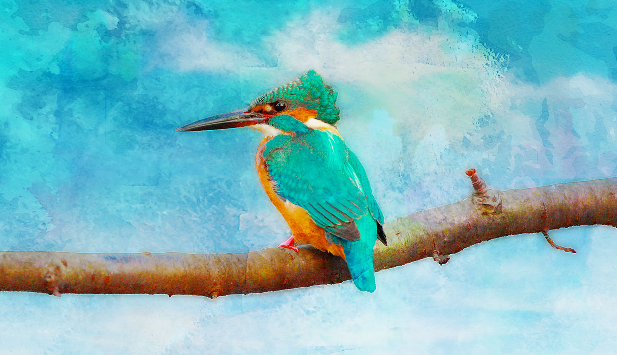 Smart Photo Editor